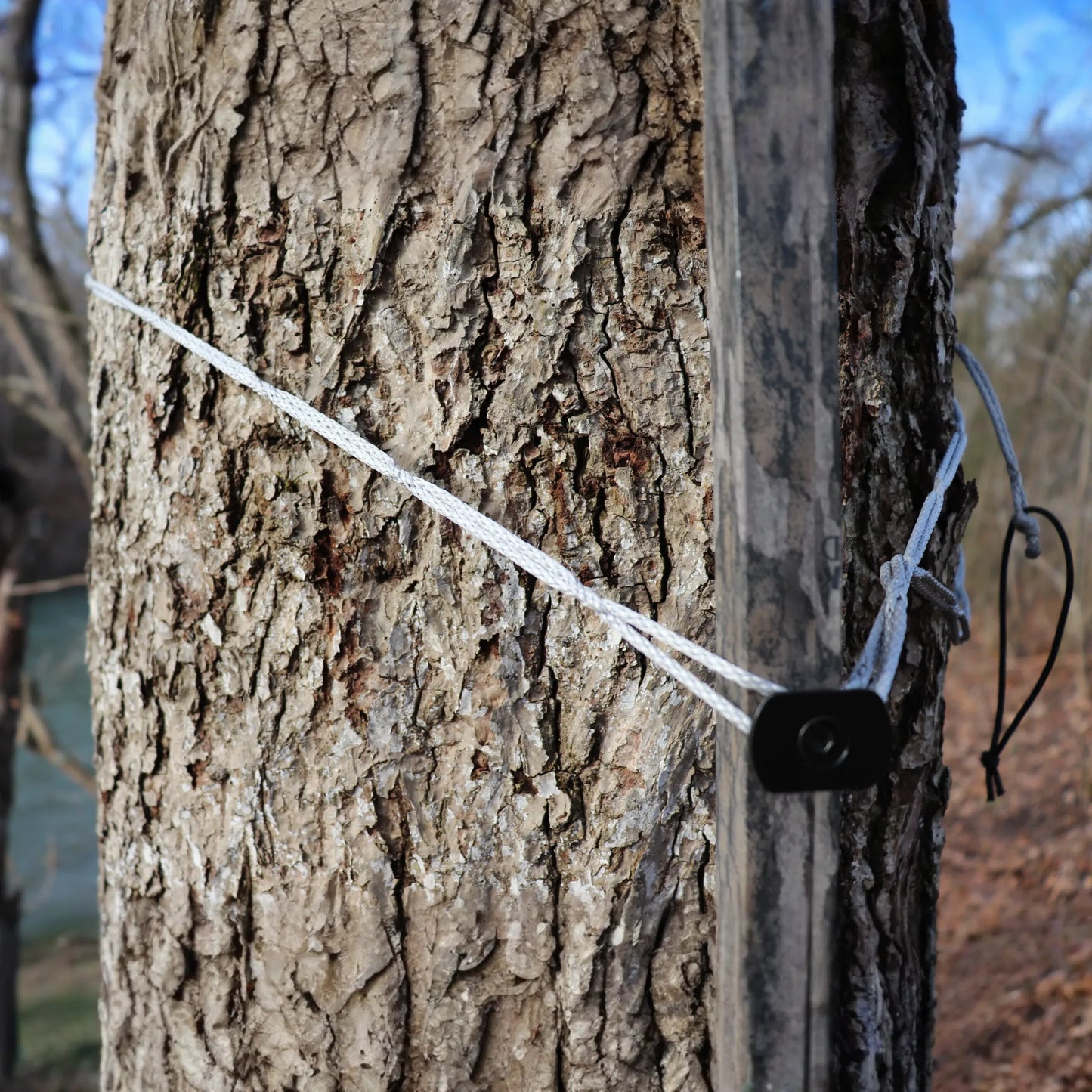 88" 7/64" AmSteel® Daisy Chain
