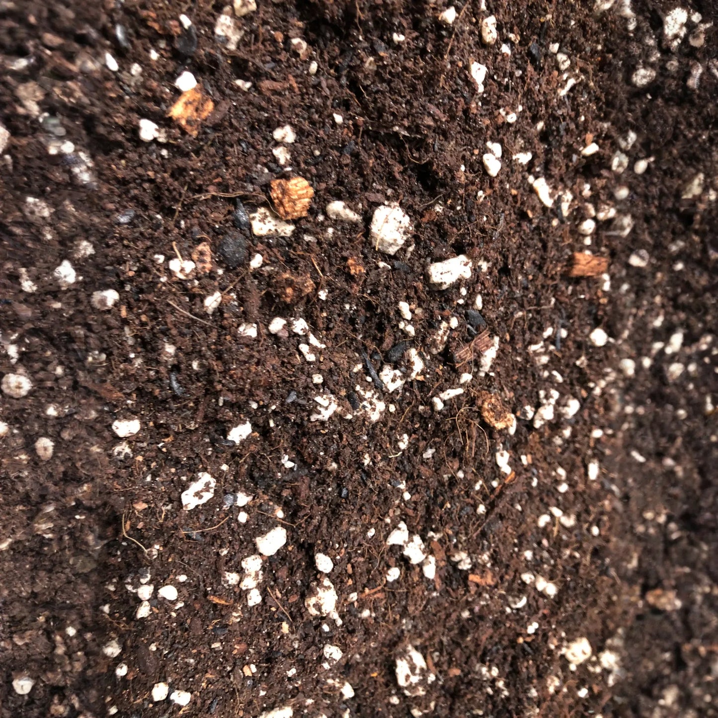 Money Tree Premium Potting Mix