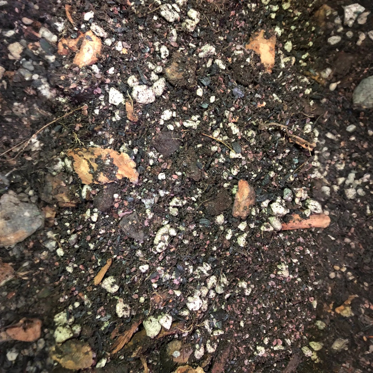 Apricot Tree Premium Potting Mix