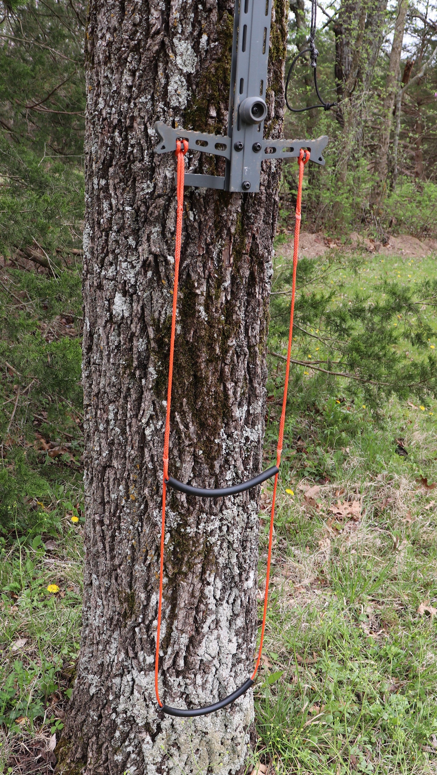 1/8" Hawk Helium/ Skeletor/ Muddy Pro AmSteel® Aiders