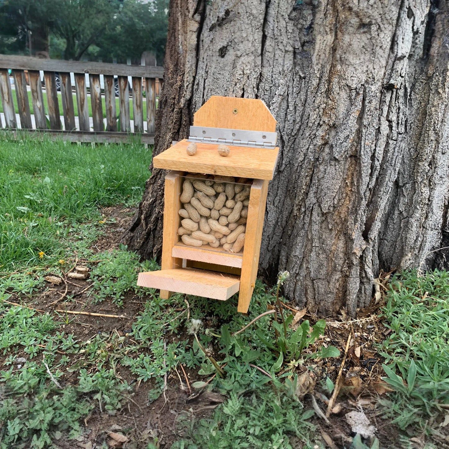Squirrel Feeder with Lid Lift Mechanism Plans