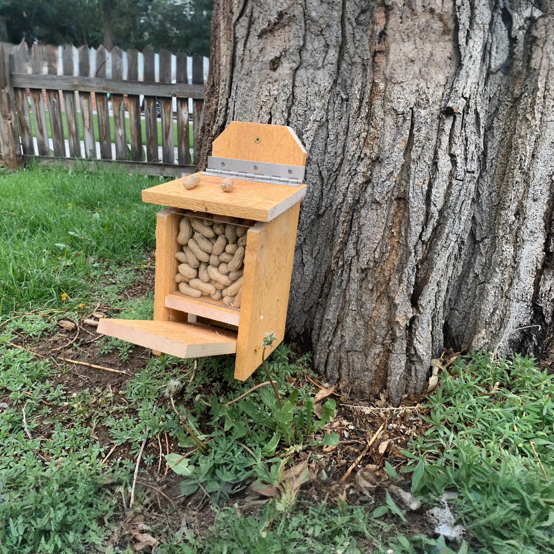 Squirrel Feeder with Lid Lift Mechanism Plans