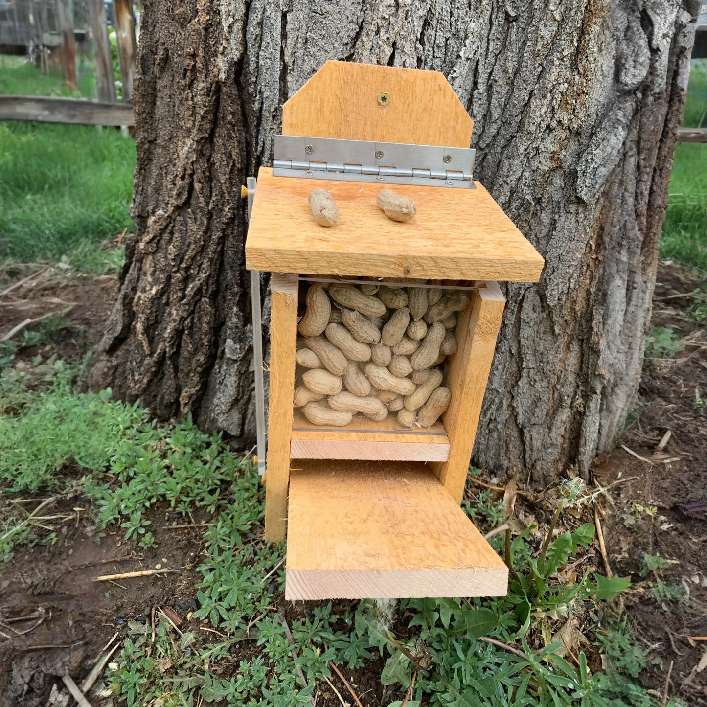 Squirrel Feeder with Lid Lift Mechanism Plans