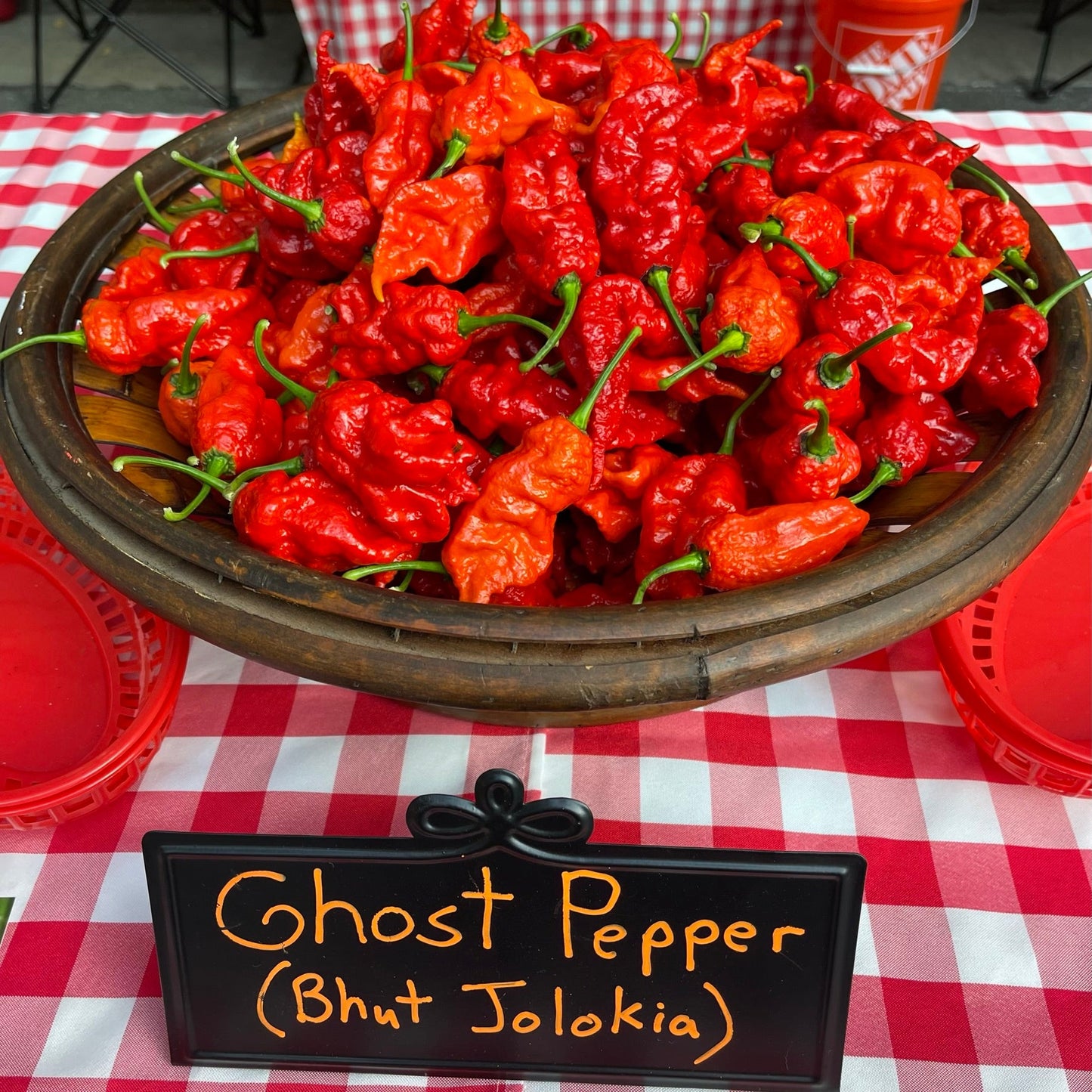 Bhut Jolokia Ghost - Seeds