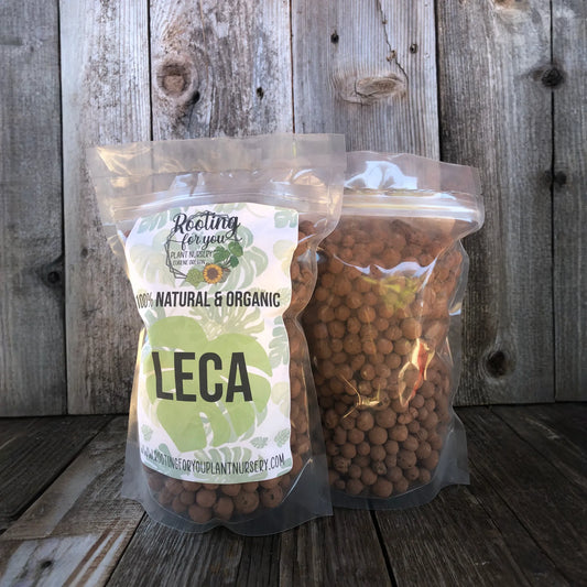 8oz 6x9x3 Bag