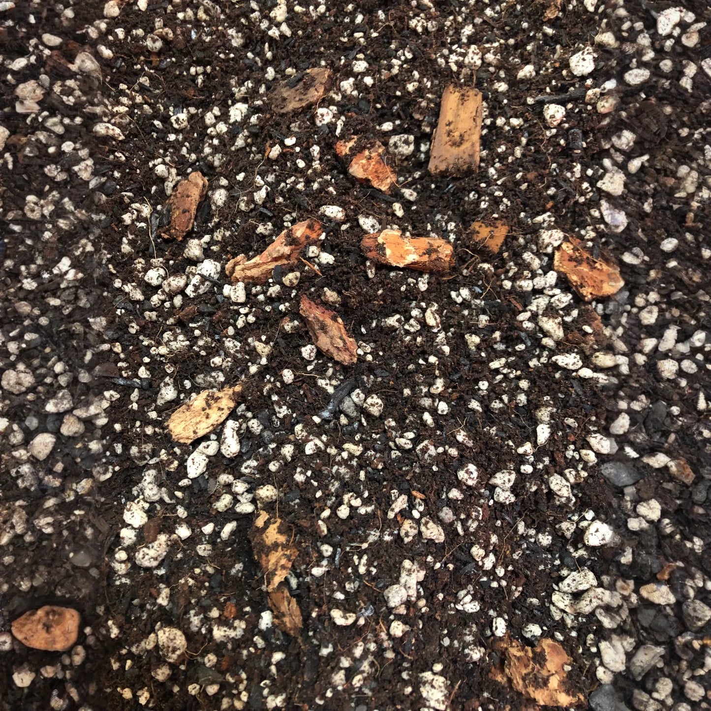 CROTON Premium Potting Mix