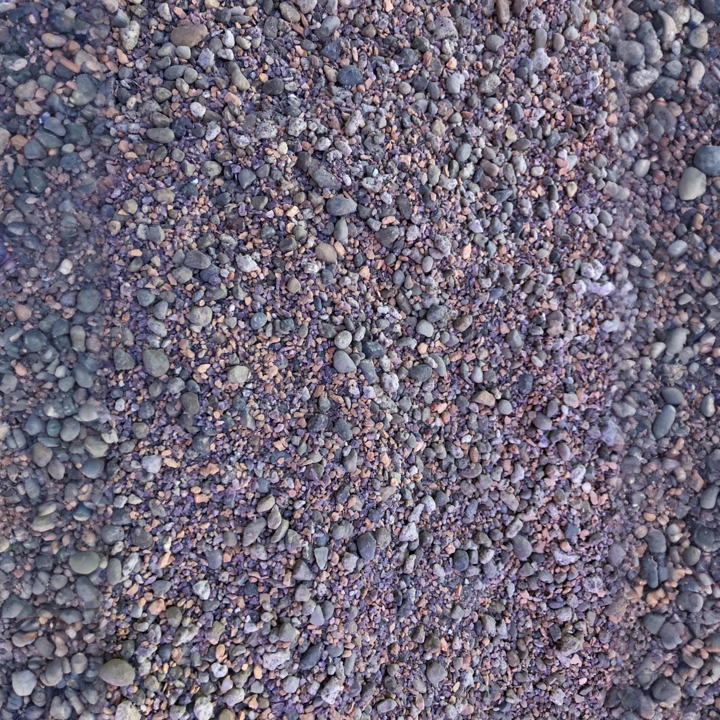 Lithops Living Stone Premium Potting Mix