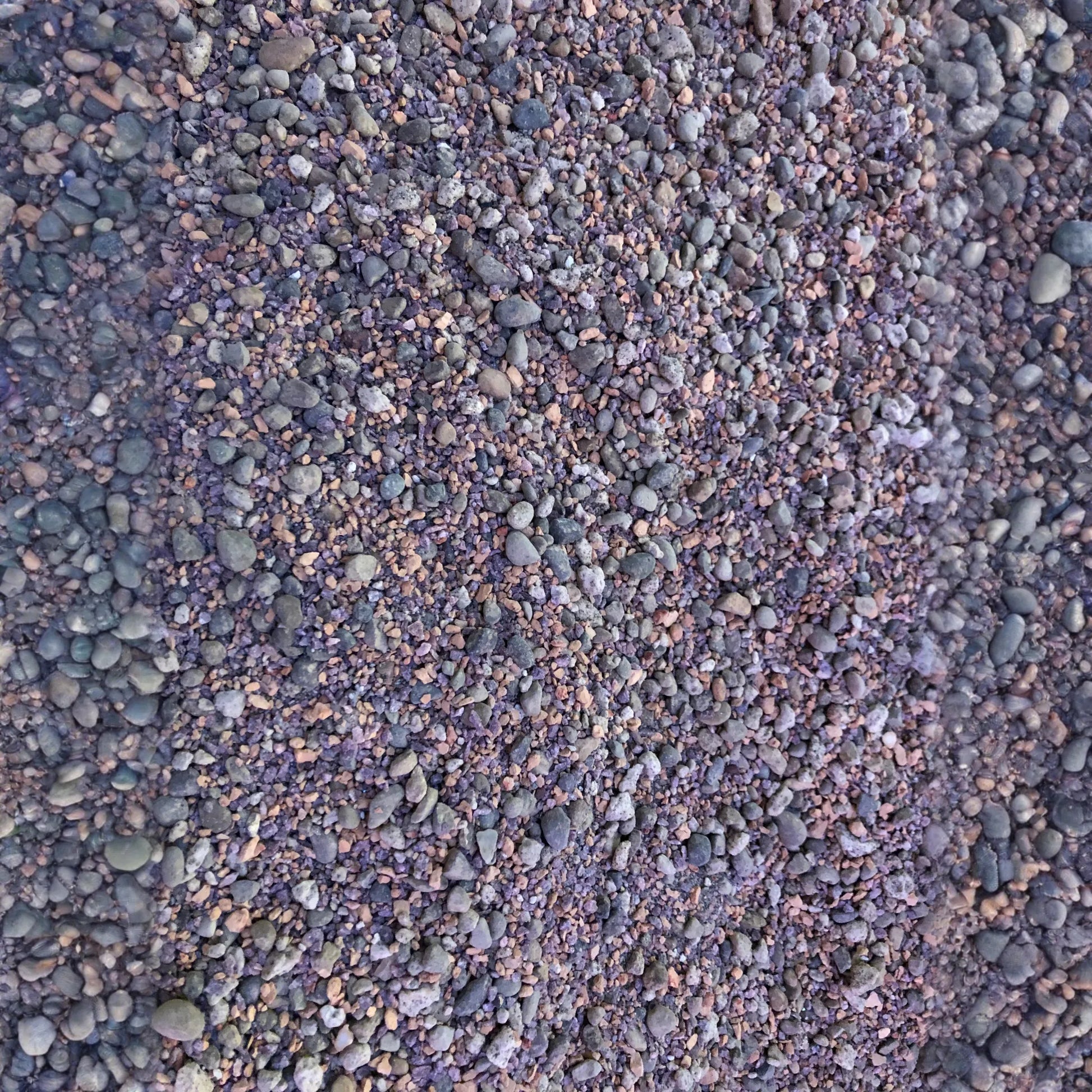 Lithops Living Stone Premium Potting Mix
