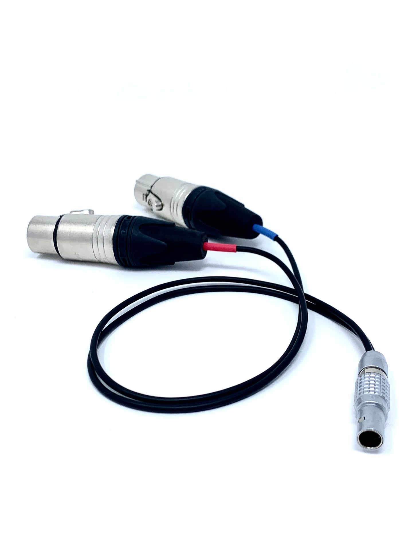12" Dual XLRF to 6 pin Lemo Cable