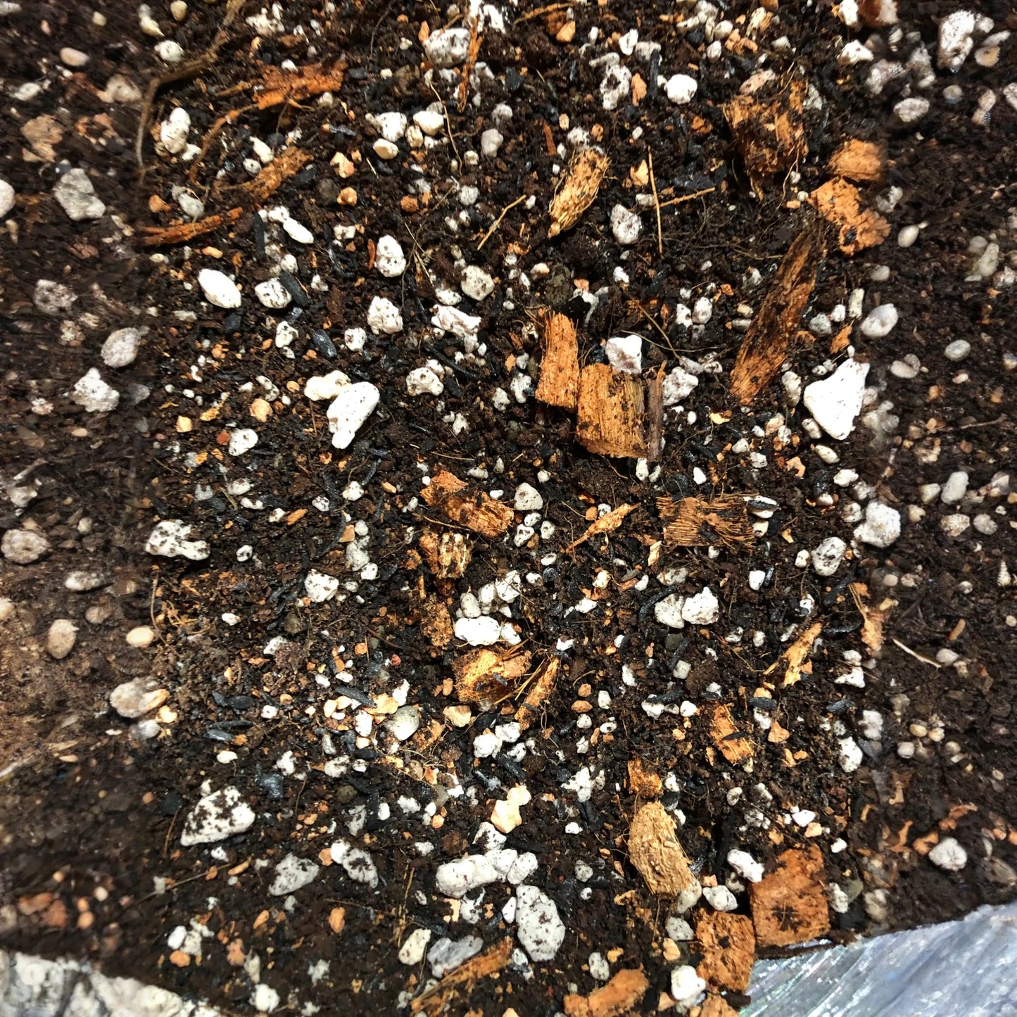 ANTHURIUM Premium Potting Mix