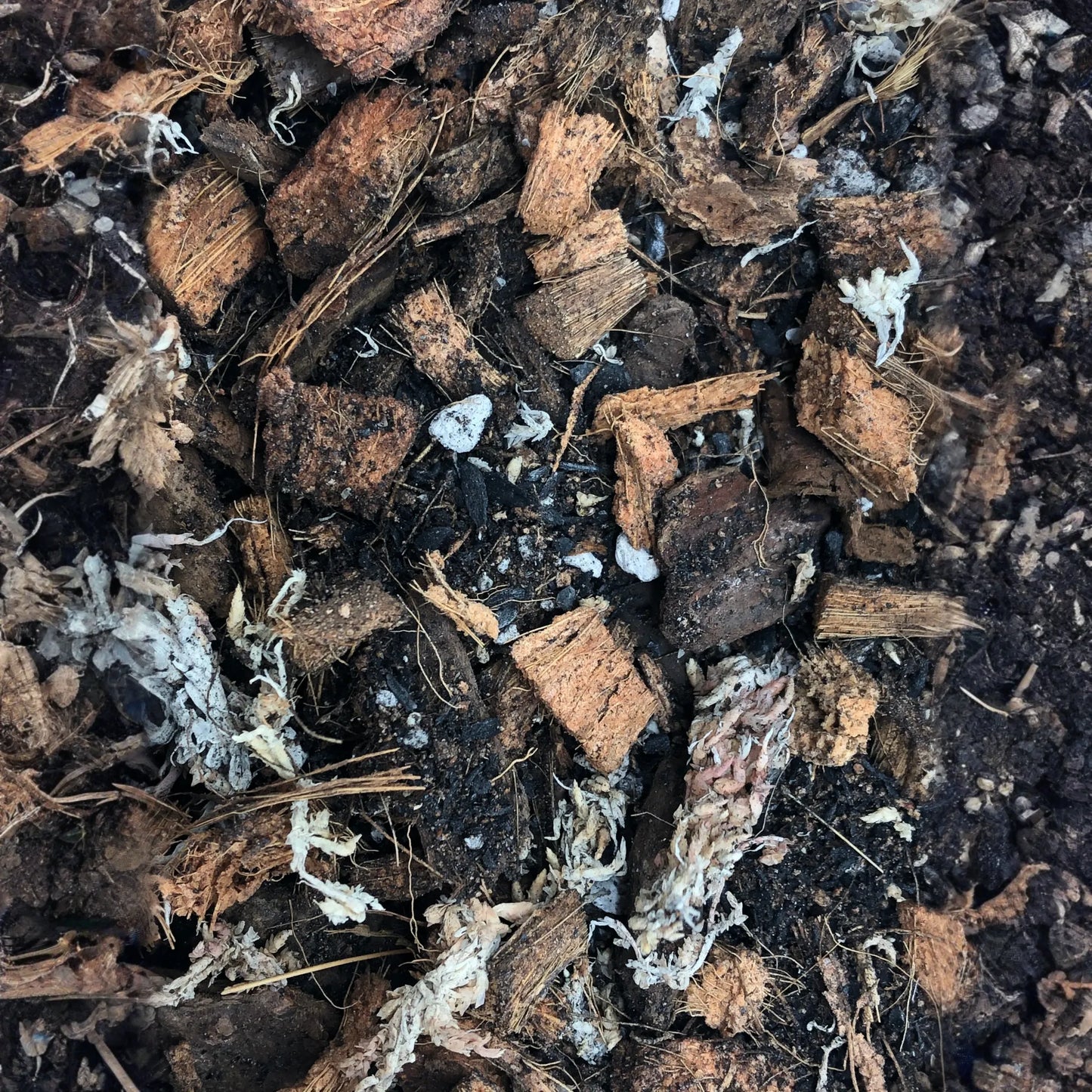 ORCHID Premium Potting Mix