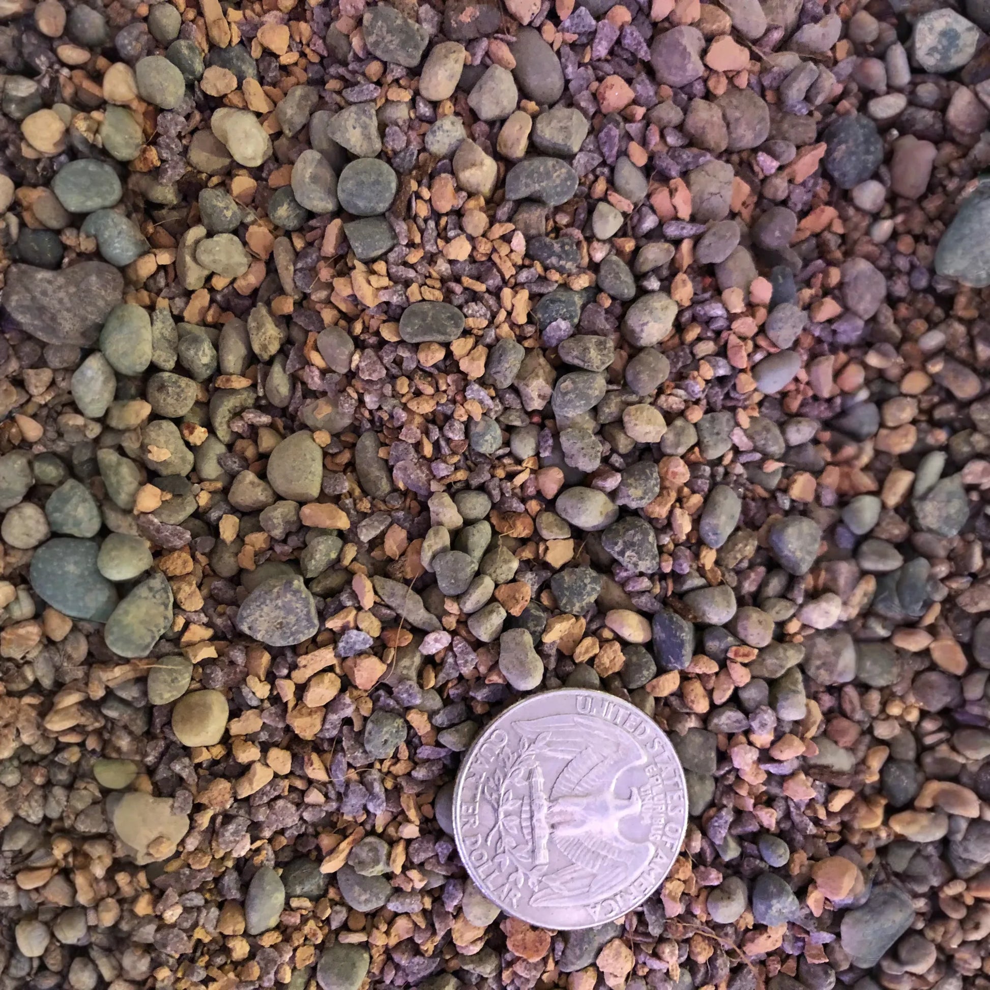 MINI GRIT Cactus & Succulent Premium Potting Mix