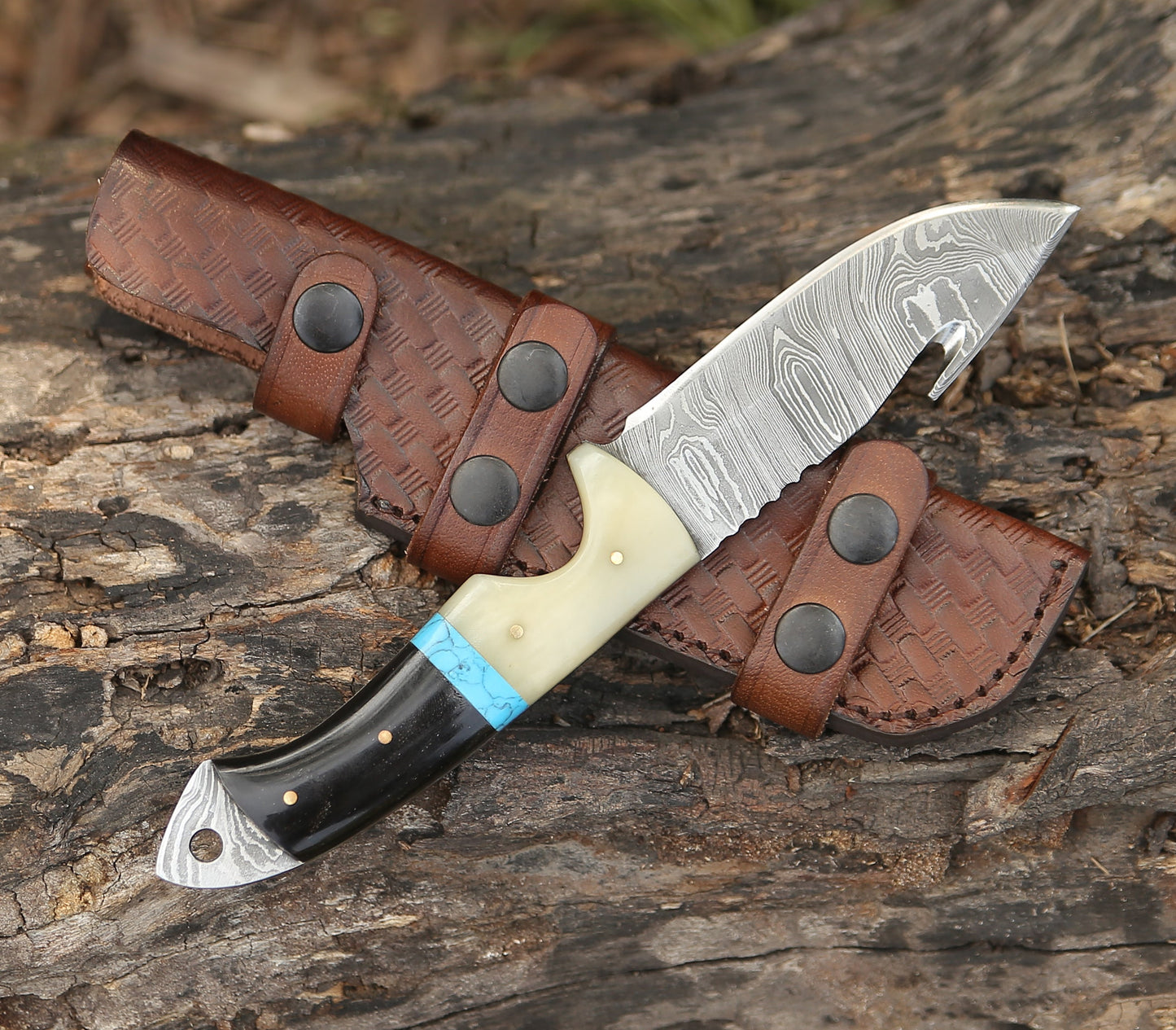 Synapse Damascus Hunting Knife with Gut Hook Horn & Turquoise Handle