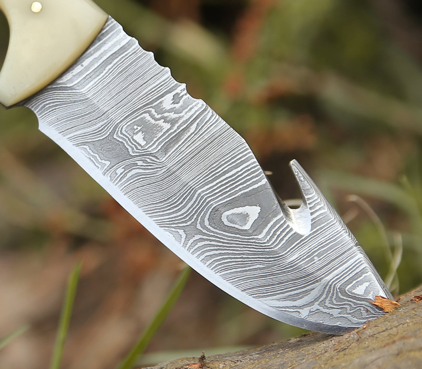 Synapse Damascus Hunting Knife with Gut Hook Horn & Turquoise Handle