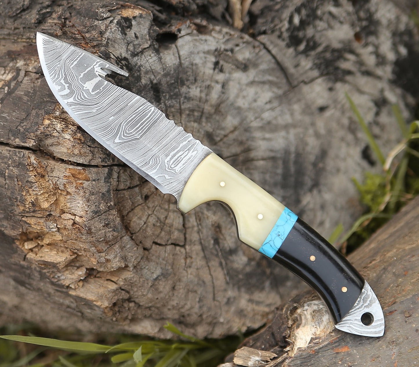 Synapse Damascus Hunting Knife with Gut Hook Horn & Turquoise Handle