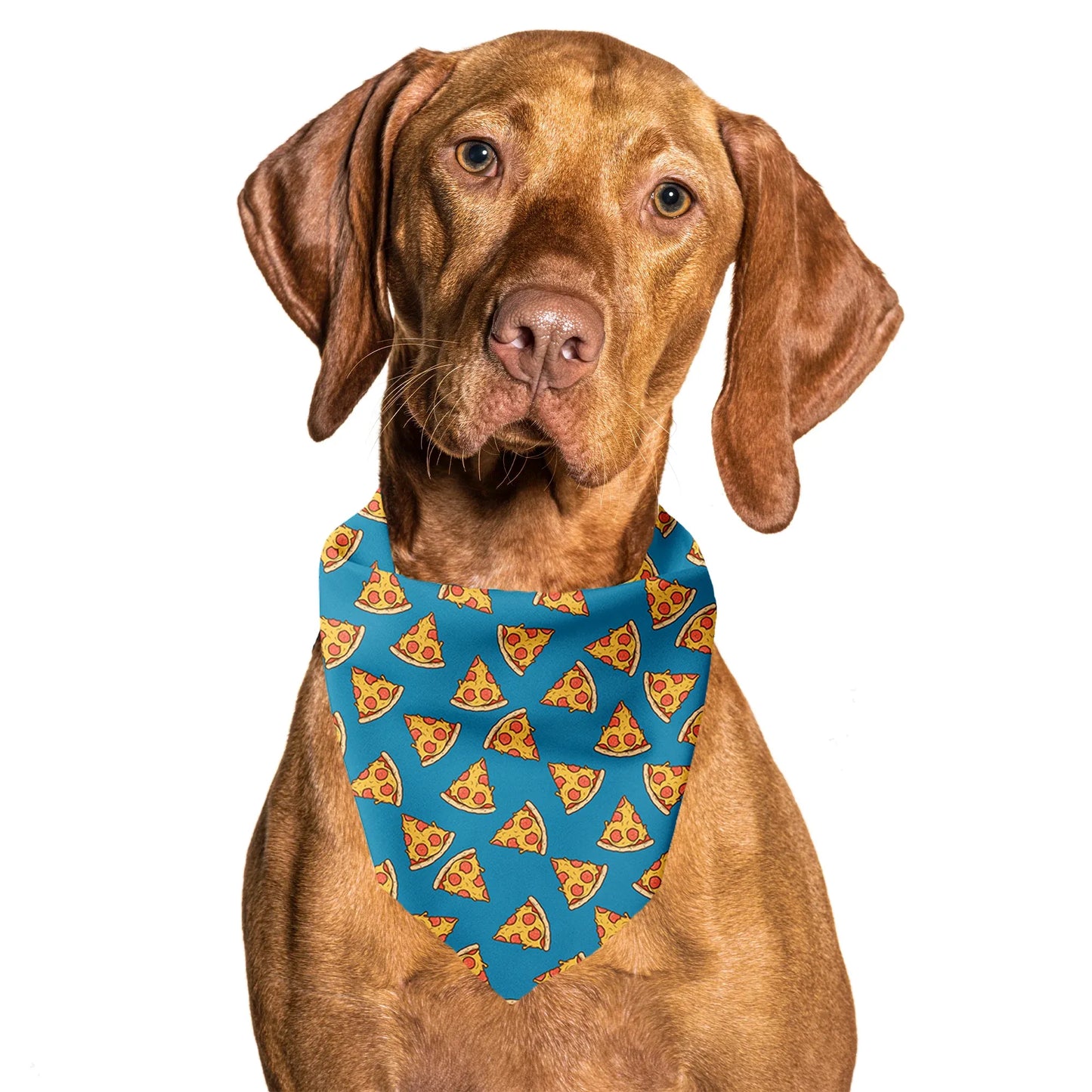 I Usually Only Get The Crust Pizza Tie On Dog Bandana