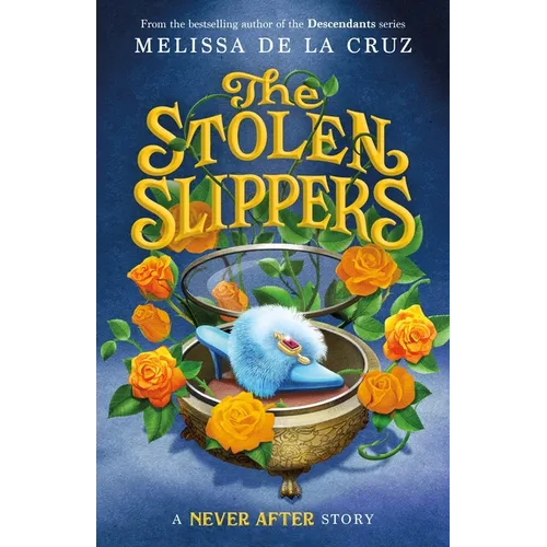 Never After: The Stolen Slippers