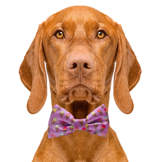Ice Cream Cone Purple Dog Bow Tie