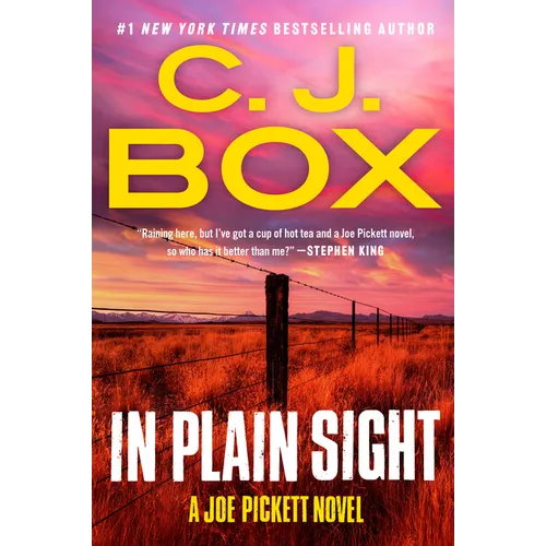 In Plain Sight