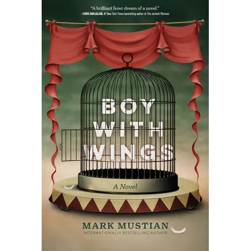 Boy With Wings