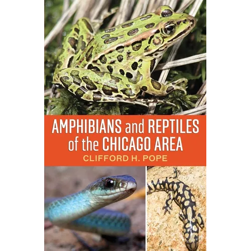 Amphibians and Reptiles of the Chicago Area