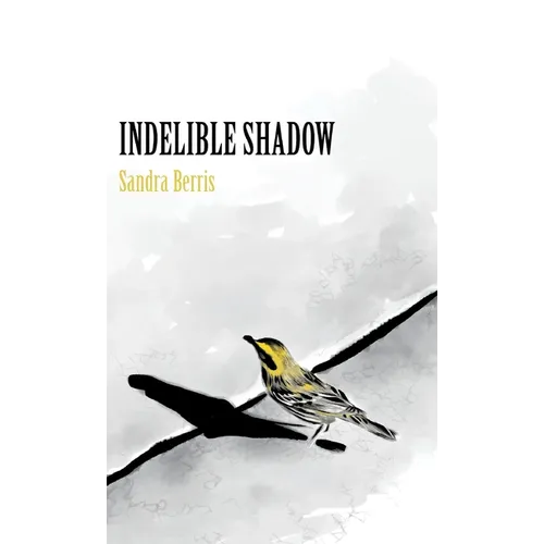 Indelible Shadow