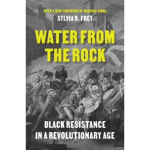 Water from the Rock: Black Resistance in a Revolutionary Age