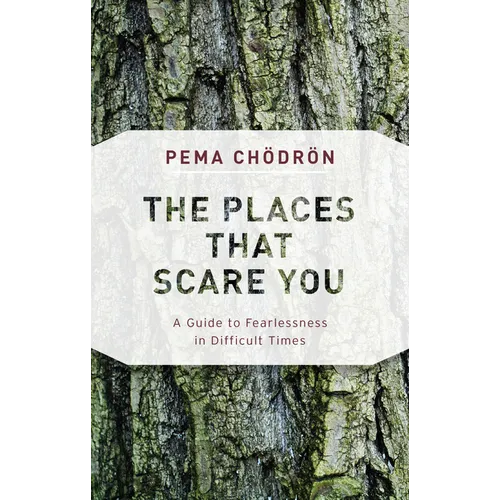 The Places That Scare You: A Guide to Fearlessness in Difficult Times