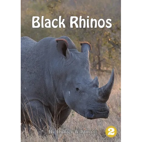 Black Rhinos
