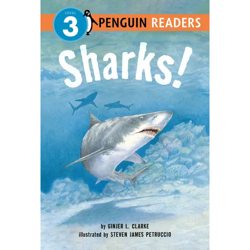 Sharks!