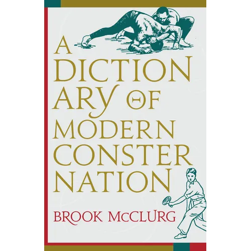 Dictionary of Modern Consternation