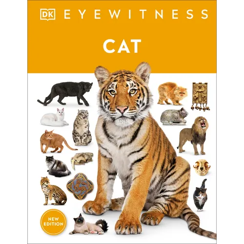 Eyewitness Cat