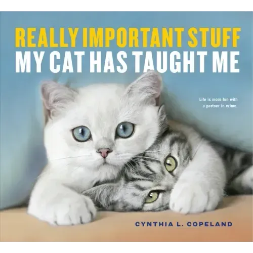 Really Important Stuff My Cat Has Taught Me