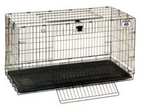 Little Giant: Rabbit Home Pop-Up 31" Medium*