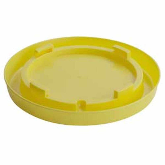 BASE-NESTING GAL-YELLOW