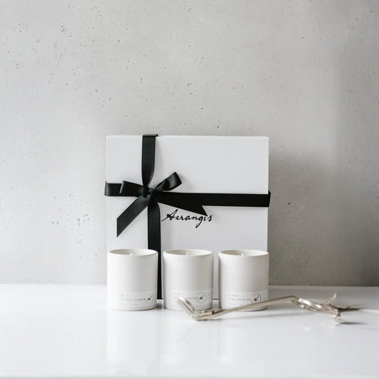 Discovery Journey Gift Set