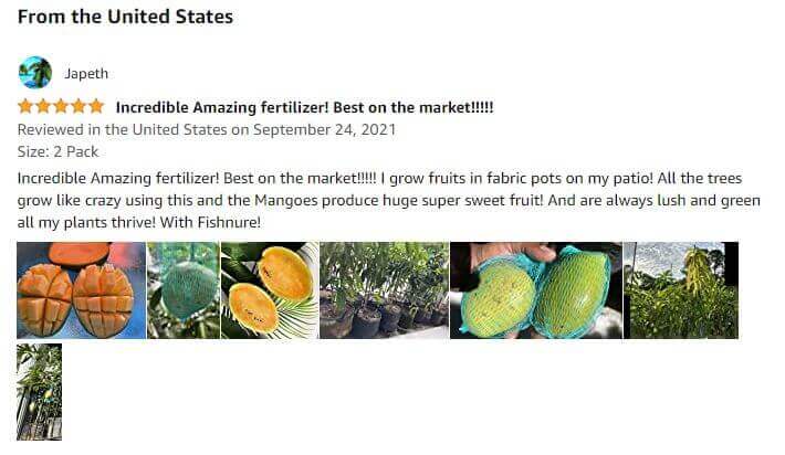 Fishnure 1 pound convenience pack - one pot one bag - Odorless Organic Humus Compost Fish Manure Fertilizer