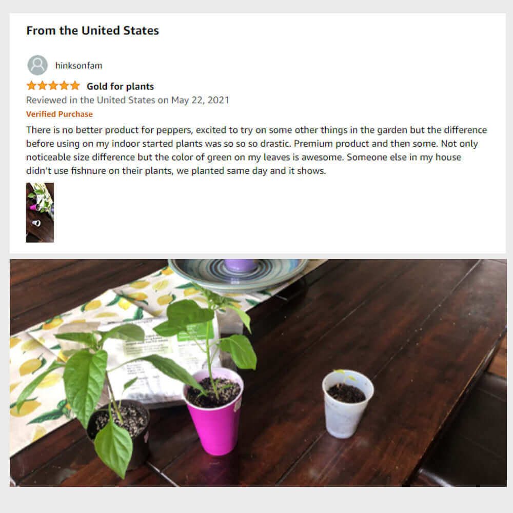 Fishnure 1 pound convenience pack - one pot one bag - Odorless Organic Humus Compost Fish Manure Fertilizer