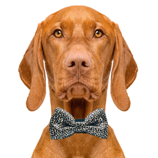 Leopard Print Dog Bow Tie
