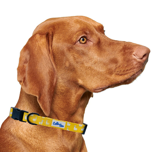 Llama Yellow Dog Collar