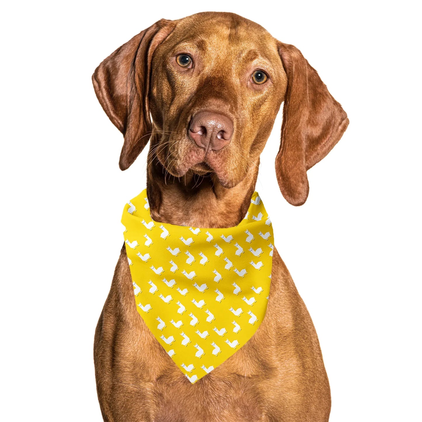 Llama Yellow Tie On Dog Bandana