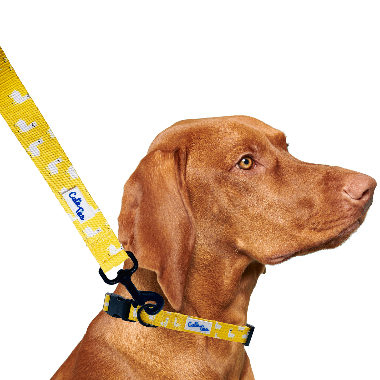 Llama Yellow Dog  Leash