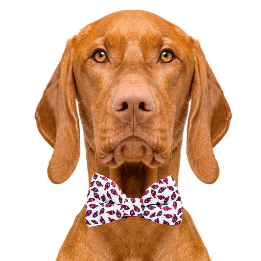 Lobster White Dog Bow Tie