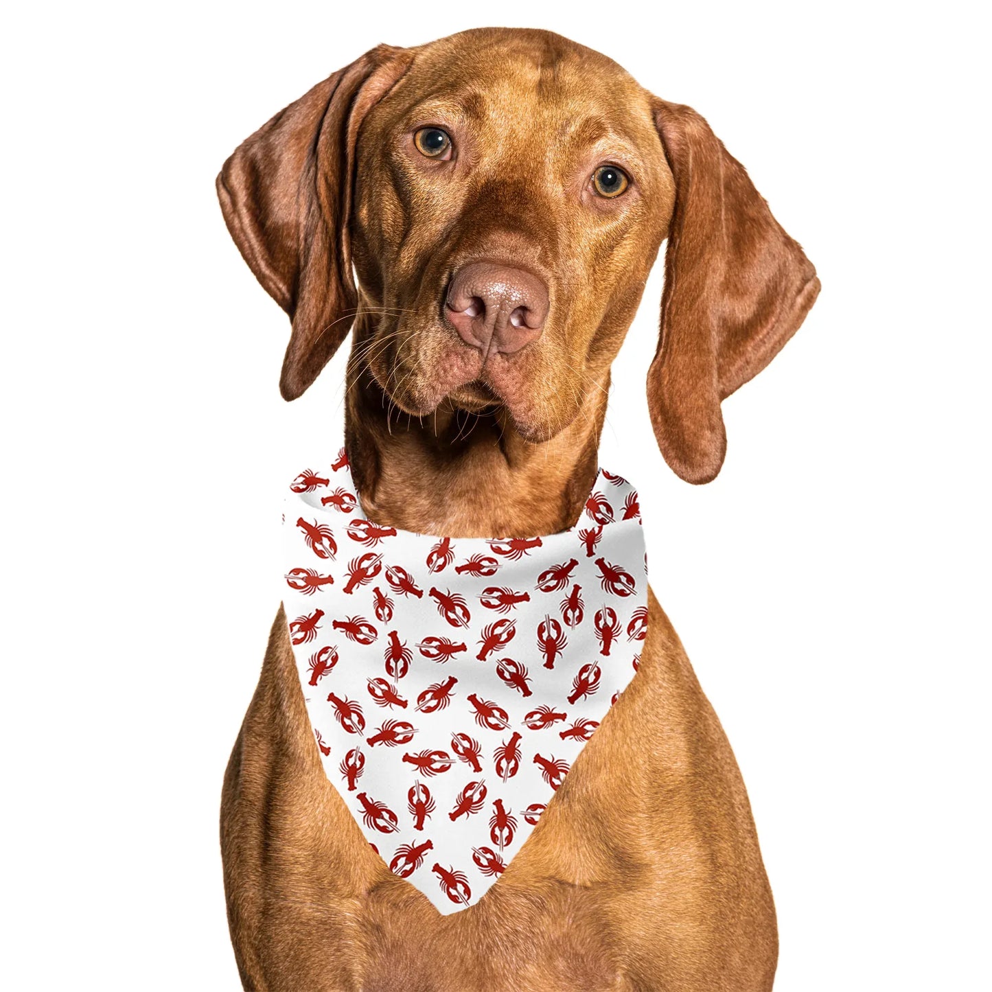 Lobster White Tie On Dog Bandana