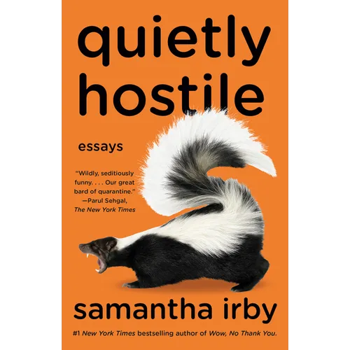 Quietly Hostile: Essays - Paperback