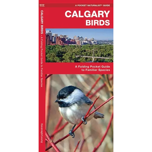 Calgary Birds: A Folding Pocket Guide to Familiar Species