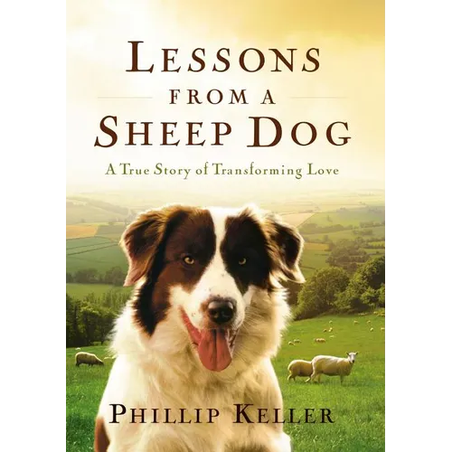 Lessons from a Sheep Dog