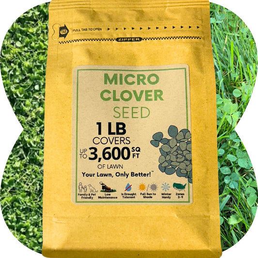 Micro Clover Seed