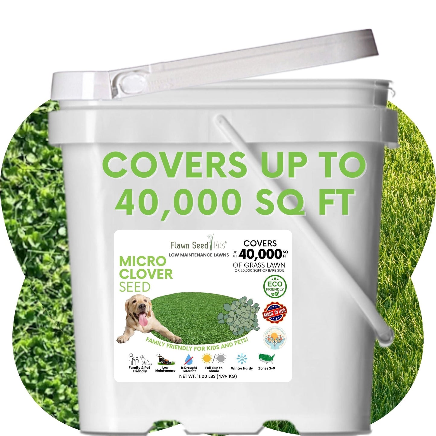 Micro Clover Seed