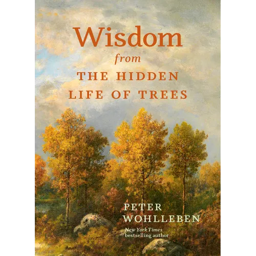 Wisdom from the Hidden Life of Trees